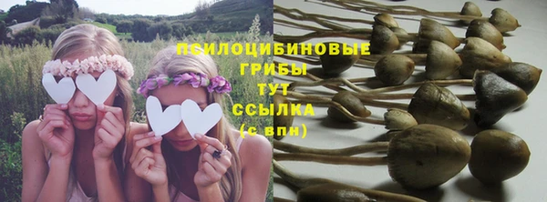 PSILOCYBIN Зеленокумск